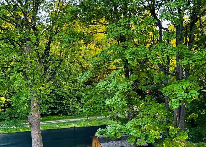 Apartment Spacious With Garden Near Danube For 16 Guests