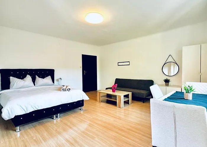 Spacious With Garden Near Danube For 16 Guests Apartment Vienna