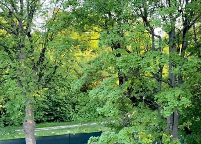 Spacious With Garden Near Danube For 16 Guests * Vienna