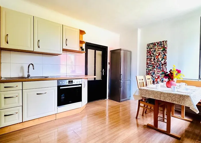 Spacious With Garden Near Danube For 16 Guests Apartment Vienna