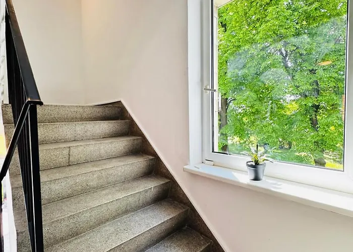 Spacious With Garden Near Danube For 16 Guests Vienna